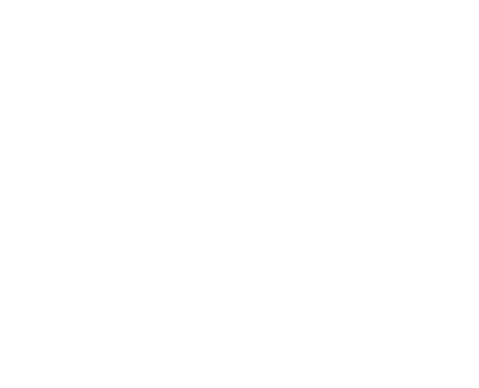 Fort Illustration